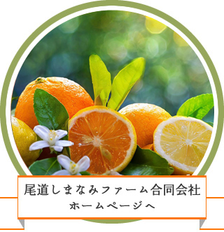 尾道しまなみファーム合同会社 ホームページへ